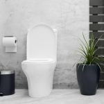 WC en noir et blanc : idées de décoration