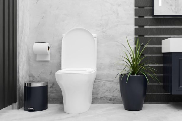 WC en noir et blanc : idées de décoration
