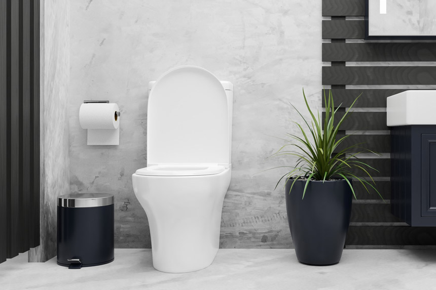 WC en noir et blanc : idées de décoration