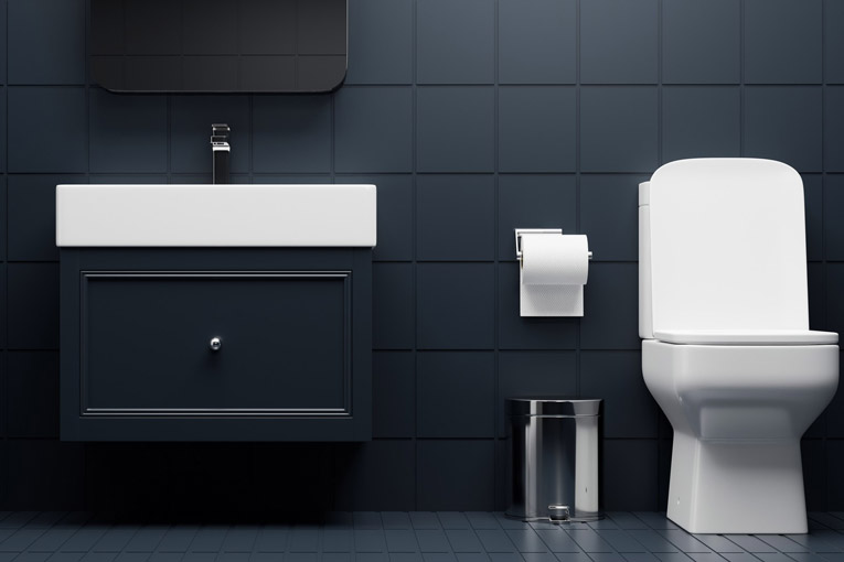WC en noir et blanc : idées de décoration