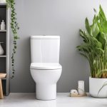 WC : les astuces anti-odeurs naturelles