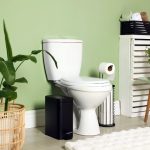 Les couleurs idéales pour vos WC