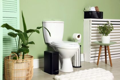 Les couleurs idéales pour vos WC