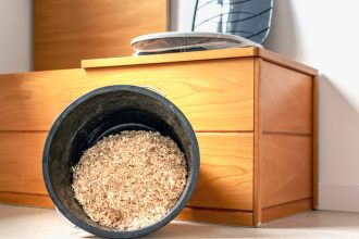 Les toilettes sèches : avantages et inconvénients