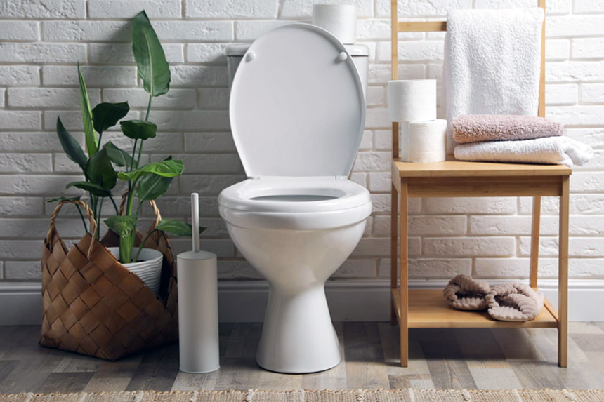 Tout savoir sur la décoration minimaliste des WC