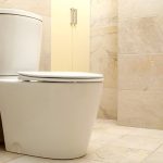 WC écologiques : les solutions modernes